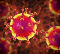 브라질서 코로나19 변이 2종 동시 감염 환자 발생…세계 첫 사례